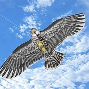 ঈগল  ঘুড়ি - 3D Eagle Kite