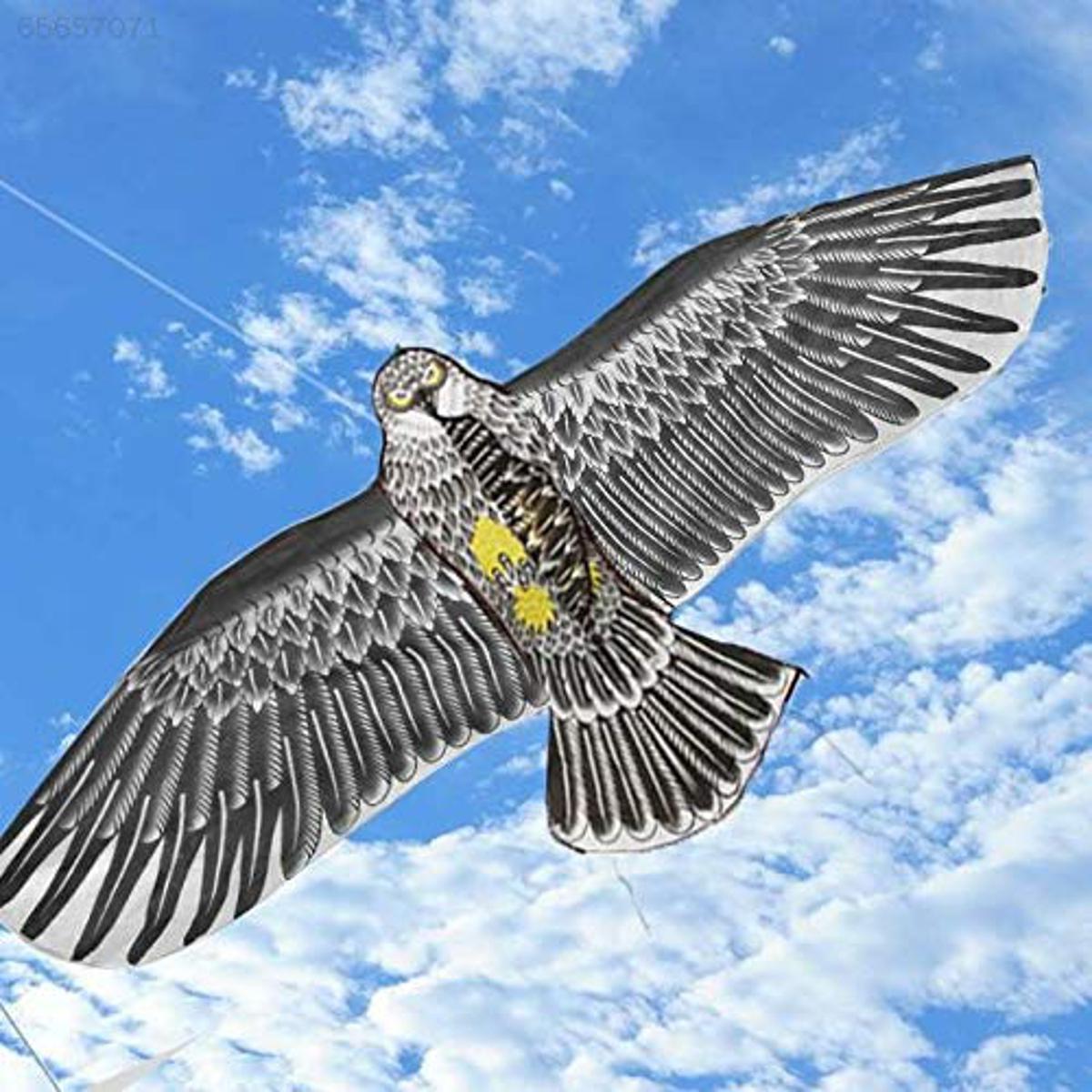 ঈগল ঘুড়ি - 3D Eagle Kite